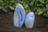 Polished Blue Lace Agate Standing Free Forms  x 2 From Nsanje, Malawi - Toprock Gemstones and Minerals 