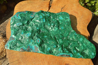 Polished XL Malachite Free Form With Blue Chrysocolla Rings x 1 From Congo - TopRock