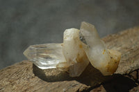 Natural Single Clear Quartz Crystals  x 1.9 Kg Lot From Zimbabwe - Toprock Gemstones and Minerals 