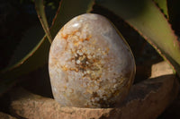 Polished  Ocean Flower Agate Standing Free Forms  x 3 From Madagascar