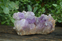 Natural Jacaranda Amethyst Cluster x 1 From Mumbwa, Zambia - TopRock