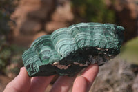 Natural Botryoidal Malachite Specimens  x 2 From Kolwezi, Congo