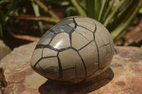 Polished Septerye Sauvage "Dragons Egg" x 1 From Mahajanga, Madagascar - TopRock