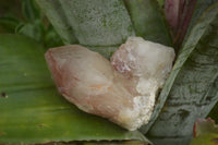 Natural Red Hematite Phantom Quartz Crystals  x 12 From Karoi, Zimbabwe - TopRock