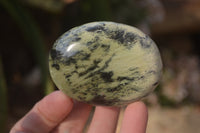 Polished Leopard Stone Palm Stones  x 12 From Zimbabwe