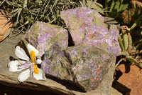 Natural Rough Purple Stichtite (Atlantisite) Specimens  x 3 From Barberton, South Africa - TopRock