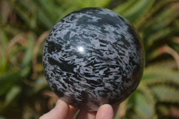 Polished Gabbro Merlinite Spheres  x 2 From Ambatondrazaka, Madagascar