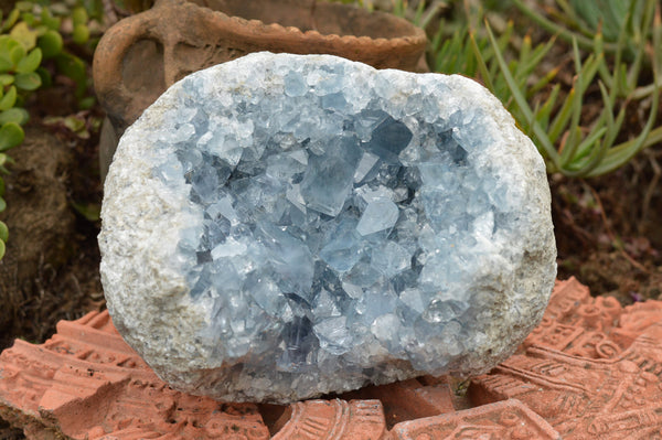 Natural Blue Celestite Cluster With Gemmy Cubic Crystals  x 1 From Sakoany, Madagascar - TopRock