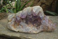 Natural Jacaranda Amethyst Cluster x 1 From Mumbwa, Zambia - TopRock