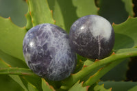 Polished Small Purple Lepidolite Palm Stones  x 20 From Ambatondrazaka, Madagascar - Toprock Gemstones and Minerals 