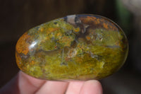 Polished Green Opal Palm Stones  x 12 From Madagascar - Toprock Gemstones and Minerals 