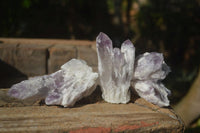 Natural Sugar Amethyst Crystal Clusters  x 24 From Zambia - Toprock Gemstones and Minerals 