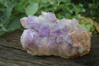 Natural Jacaranda Amethyst Cluster x 1 From Mumbwa, Zambia - TopRock