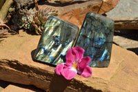 Polished Labradorite Standing Free Forms With Intense Blue & Gold Flash x 2 From Sakoany, Madagascar - TopRock