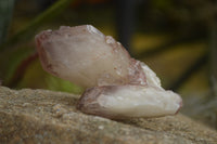 Natural Red Hematite Phantom Quartz Crystals  x 12 From Karoi, Zimbabwe - TopRock