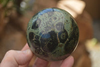 Polished Stromatolite / Kambamba Jasper Spheres  x 3 From Madagascar - TopRock