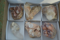 Natural Mixed Selection Of Quartz Specimens  x 6 From Southern Africa - Toprock Gemstones and Minerals 