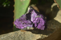 Natural Metallic Purpurite Cobbed Specimens x 12 From Erongo, Namibia