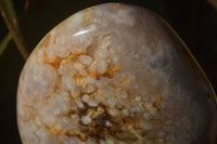 Polished  Ocean Flower Agate Standing Free Forms  x 3 From Madagascar