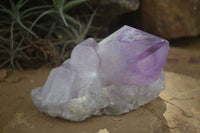 Natural Jacaranda Amethyst Clusters  x 3 From Mumbwa, Zambia - Toprock Gemstones and Minerals 