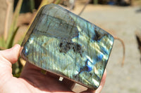 Polished Labradorite Standing Free Forms With Intense Blue & Gold Flash x 2 From Sakoany, Madagascar - TopRock