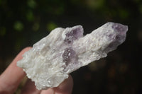 Natural Sugar Amethyst Crystal Clusters  x 24 From Zambia - Toprock Gemstones and Minerals 