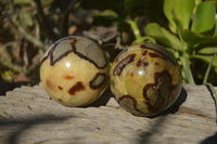 Polished Septaria (Calcite & Aragonite) Spheres  x 2 From Madagascar