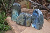 Polished Flashy Labradorite Standing Free Forms  x 3 From Madagascar - TopRock