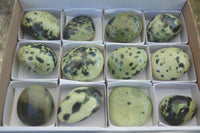 Polished Spotted Leopard Stone Gallets  x 12 From Zimbabwe