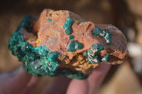 Natural Classic Emerald Dioptase Crystal Specimens  x 2 From Likasi, Congo