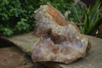 Natural Jacaranda Amethyst Cluster x 1 From Mumbwa, Zambia - TopRock