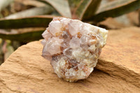 Natural Drusi Coated Spirit Cactus Quartz Clusters  x 4 From Boekenhouthoek, South Africa - TopRock