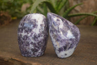 Polished  Lovely Purple Lepidolite Standing Free Forms  x 4 From Zimbabwe