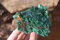 Natural Chatoyant Silky Malachite Specimens  x 3 From Kasompe, Congo