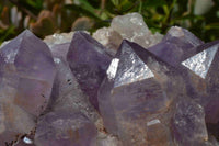 Natural Zambian Amethyst Crystal Clusters x 2 From Mumbwe, Zambia - TopRock