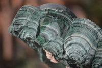 Natural Botryoidal Malachite Specimens  x 2 From Kolwezi, Congo