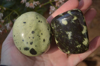 Polished Leopard Stone Palm Stones  x 12 From Zimbabwe