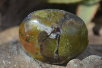 Polished Green Opal Palm Stones  x 12 From Madagascar - Toprock Gemstones and Minerals 