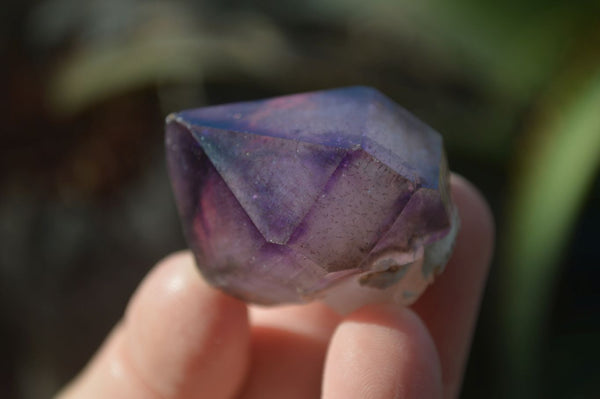 Natural Smokey Window Amethyst Crystals  x 12 From Chiredzi, Zimbabwe