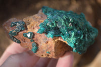 Natural Classic Emerald Dioptase Crystal Specimens  x 2 From Likasi, Congo