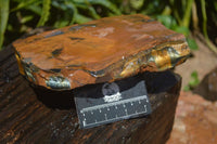 Natural Golden Blue Tigers Eye Specimens  x 2 From Prieska, South Africa - TopRock