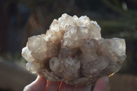 Natural Cascading Smokey Phantom Quartz Clusters x 2 From Luena, Congo