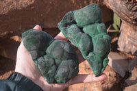 Natural Botryoidal Malachite Specimens  x 2 From Kolwezi, Congo