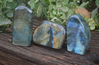 Polished Flashy Labradorite Standing Free Forms  x 3 From Madagascar - TopRock