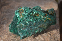 Natural Chatoyant Silky Malachite Specimens  x 3 From Kasompe, Congo