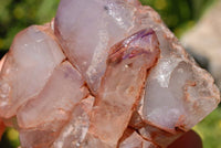 Polished Window Amethyst Crystals x 3 From Akansobe, Madagascar - TopRock