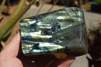 Polished Labradorite Standing Free Forms With Intense Blue & Gold Flash x 2 From Sakoany, Madagascar - TopRock