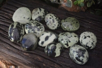 Polished Spotted Leopard Stone Gallets  x 12 From Zimbabwe