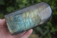 Polished Flashy Labradorite Standing Free Forms  x 3 From Madagascar - TopRock