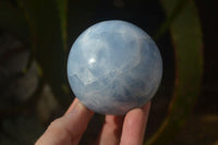 Polished Blue Calcite Spheres x 2 From Ihadilalana, Madagascar